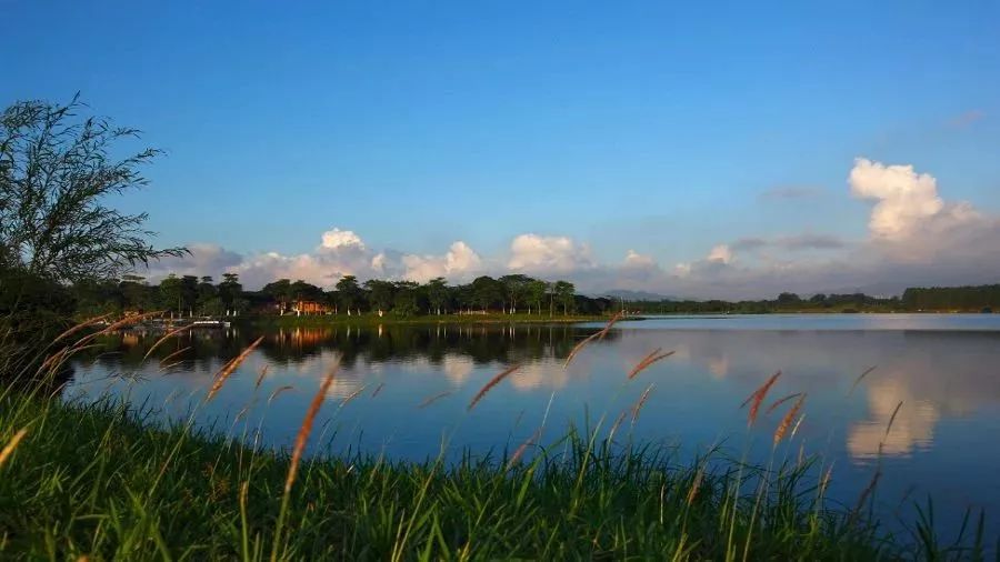 东莞五一旅游攻略推荐,最美人间四月天旅游攻略