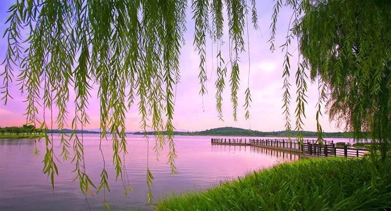 东莞五一旅游攻略推荐,最美人间四月天旅游攻略