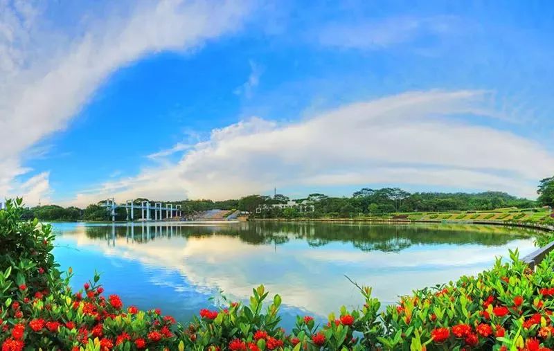 东莞五一旅游攻略推荐,最美人间四月天旅游攻略