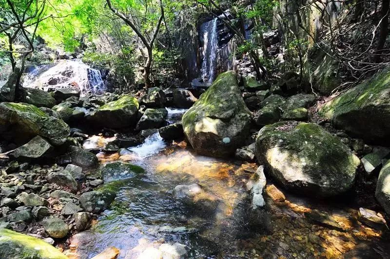 东莞五一旅游攻略推荐,最美人间四月天旅游攻略