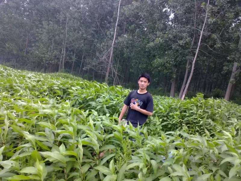 丝丝细雨，如泣如诉点点烛光，为他而明！