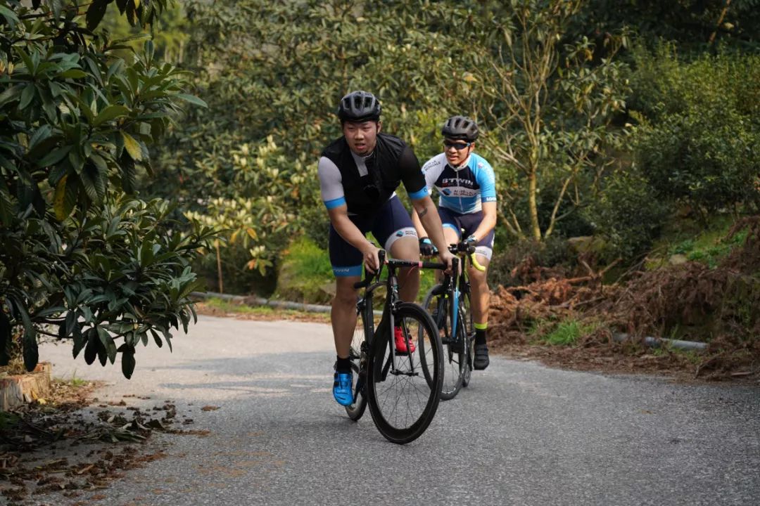 迪卡侬入门车型,迪卡侬triban500新款和旧款区别