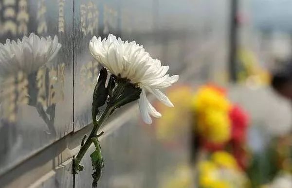 清明节小孩注意什么,清明节小朋友要怎么过