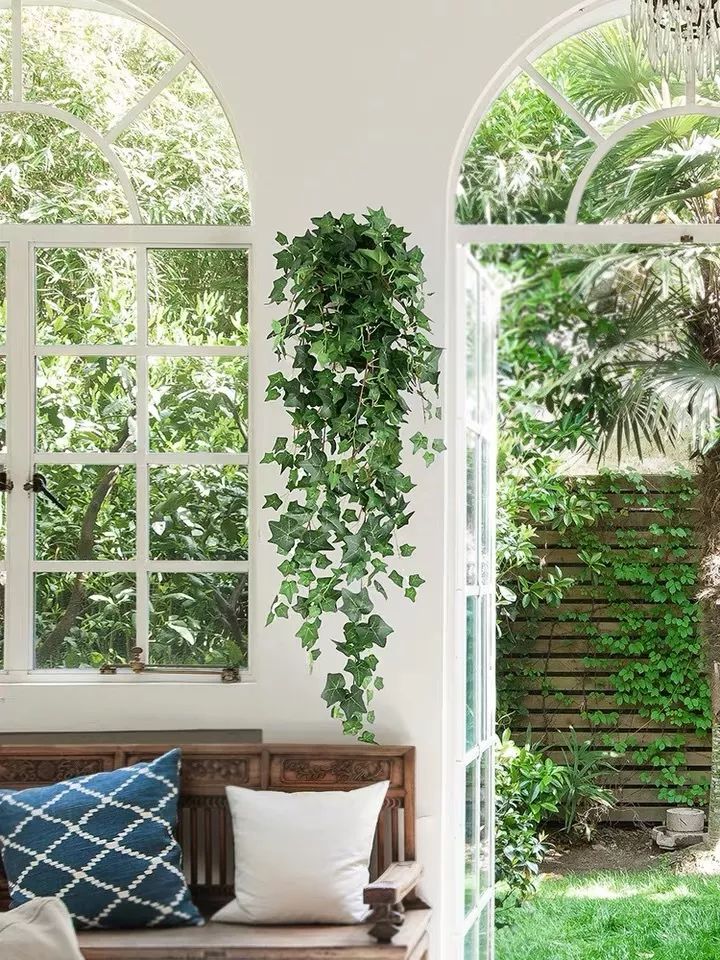 绿植装饰艺术,绿植造型效果图