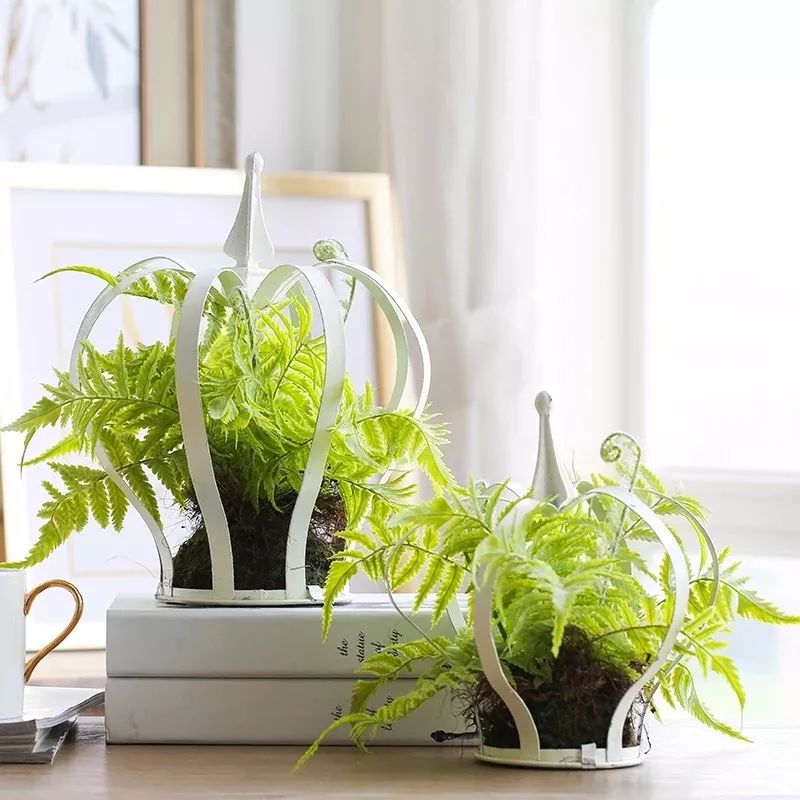 绿植装饰艺术,绿植造型效果图