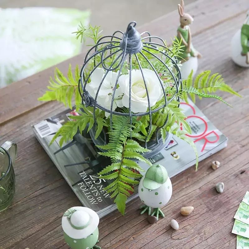 绿植装饰艺术,绿植造型效果图