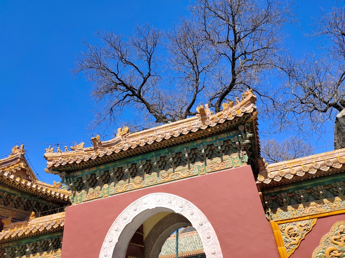 孔雀开屏般的美丽vivox27测评,vivox27采用的是什么屏旗舰版