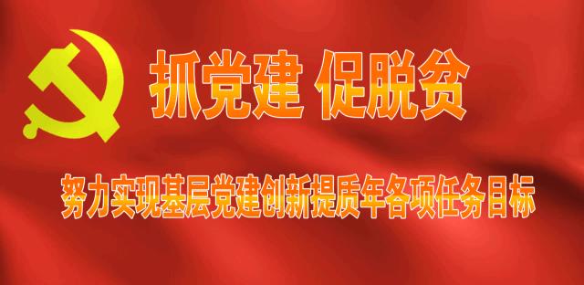 第四批规范化党支部命名,2022年表彰示范党支部的决定