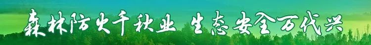 【冰城新闻】哈尔滨企业在迪拜建电站｜储煤场就有12座标准足球场大，创了个世界纪录