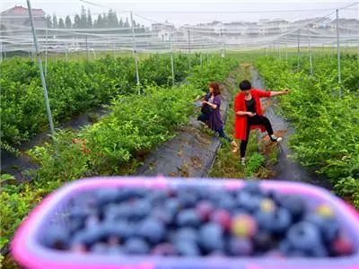 澶存潯鎬庝箞鎶曡祫鍐滀笟,澶存潯鍐滀笟鎶曡祫鍟嗘満