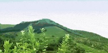 睡前祛湿泡脚配方有哪些,睡前坚持用它泡脚3件好事找到你