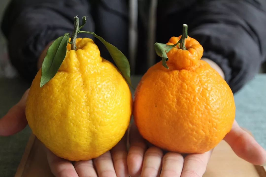 又脆又甜又多汁的水果,皮薄甜脆的水果