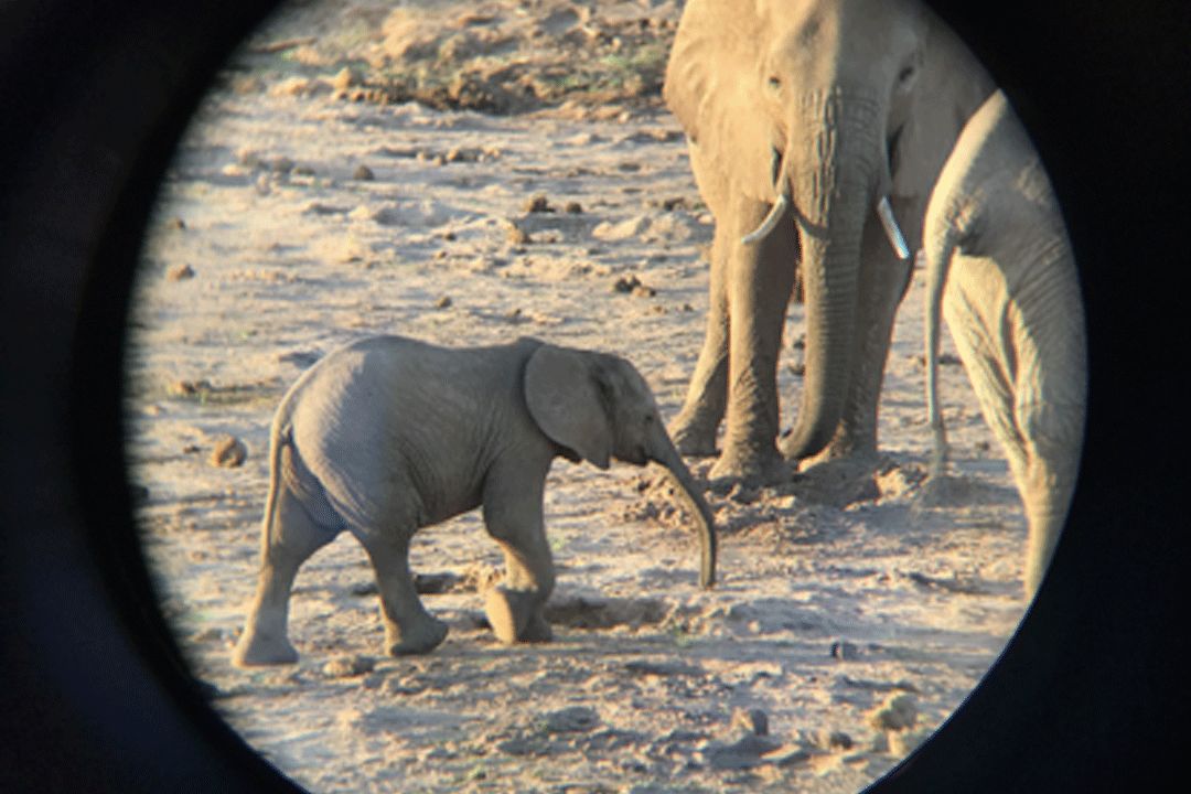 跟刘昊然在非洲过了6天5夜，发现他其实就是个话痨加多动症啊……