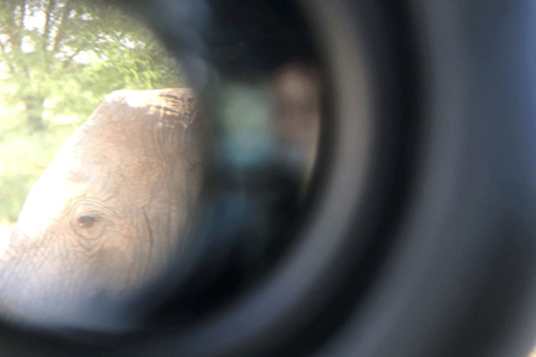 跟刘昊然在非洲过了6天5夜，发现他其实就是个话痨加多动症啊……