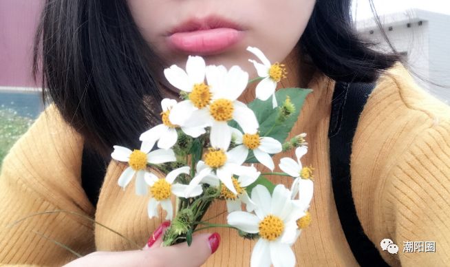 潮阳人上山扫墓讨厌碰到它，可没想到它还有这么多用处...