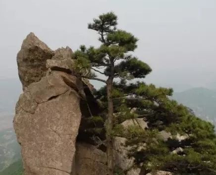 大连旅游攻略冬天普兰店,玩遍大连惊艳的季节