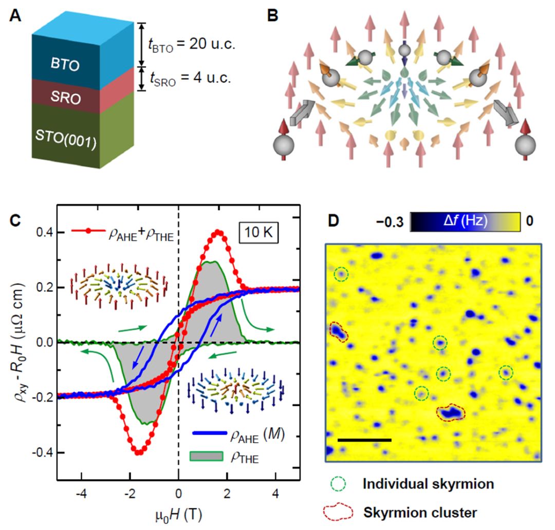 用铁电把玩磁性斯格明子