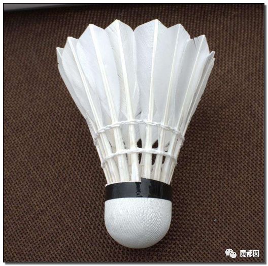 小提琴特点小镇,中国小提琴特点小镇