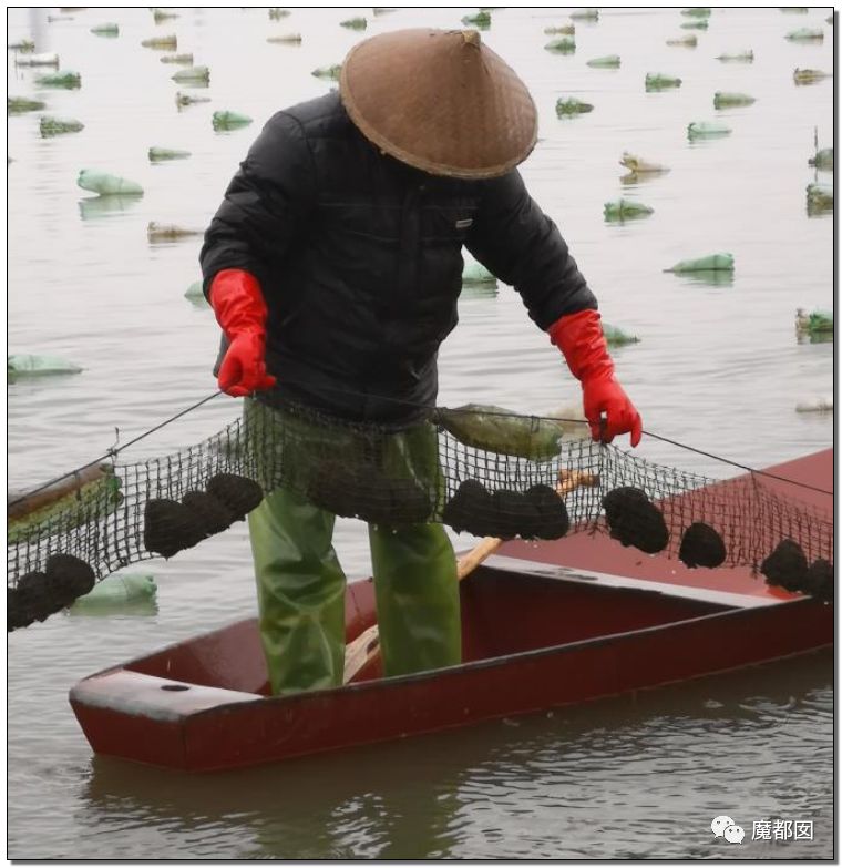 小提琴特点小镇,中国小提琴特点小镇