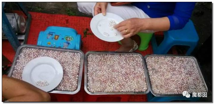 小提琴特点小镇,中国小提琴特点小镇