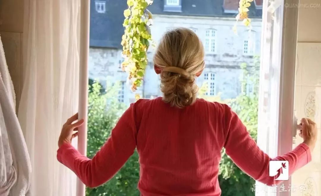 吸甲醛最好的植物排名,什么植物去甲醛最好又适合放卧室