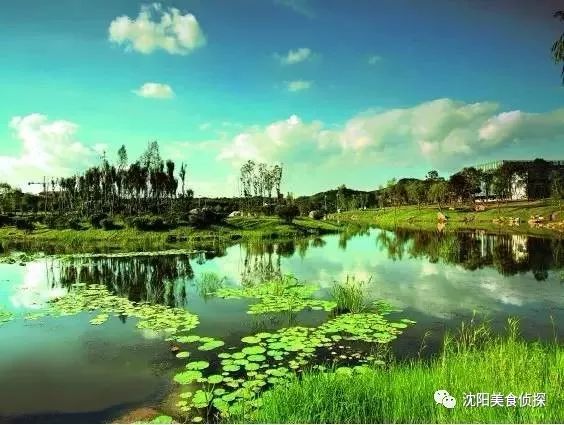 清明小长假出去耍这份攻略请收藏,清明长假旅游攻略北方