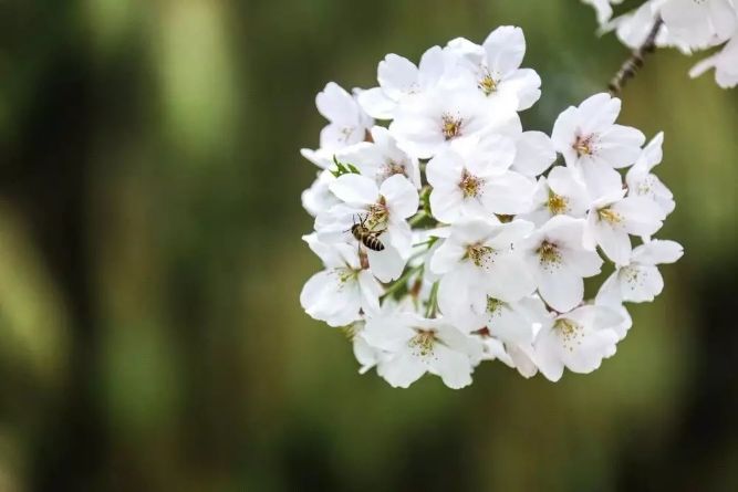 中山最佳打卡公园,景色打卡点中山公园