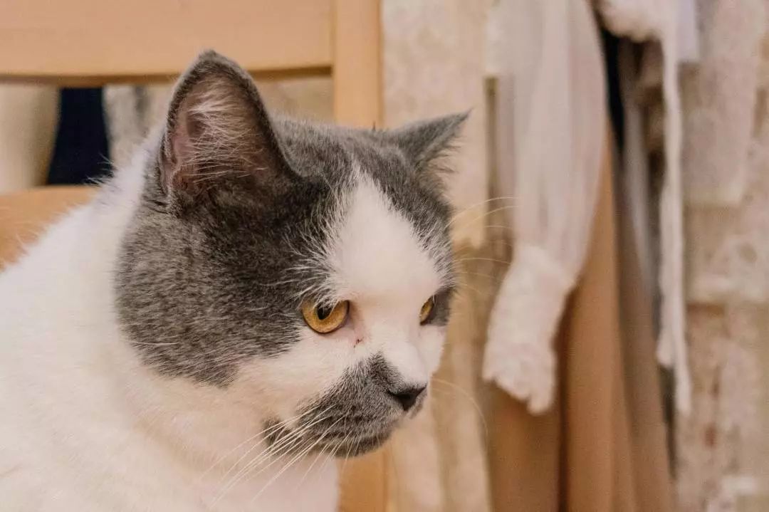 广州市大型杂货铺,广州杂货铺哪里最好