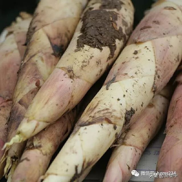 竹笋味道特别好口感还特别的脆嫩,竹笋最嫩的地方