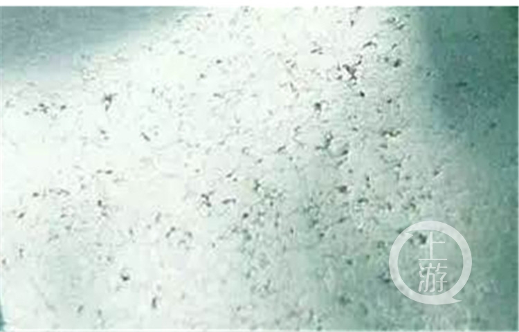 天然翡翠和人工处理翡翠傻傻分不清？专家教你两招！