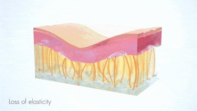 日本“吸油圣斗士”，1天1条，7天瘦出小蛮腰！酸酸甜甜，比果冻还好吃