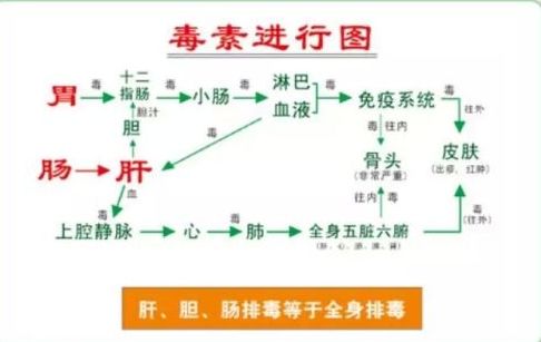 天然强肝剂护肝排毒,护肝排毒产品