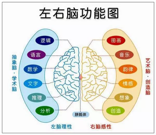 知乎上的英语学习方法,高情商回答你是怎样学英语的