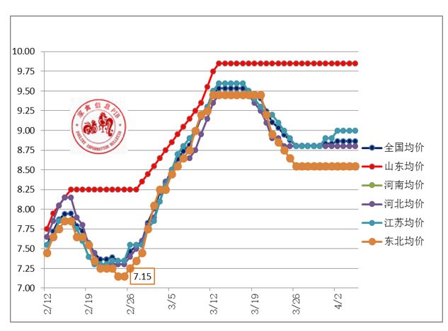 未来两个月肉鸡行情分析,关注肉鸡行情变化规避积压