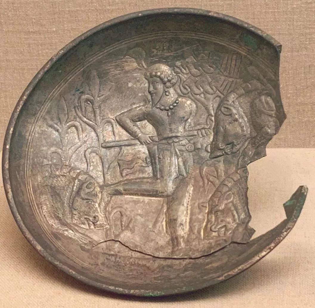 野猪的“世界史”，也是一部《权力的游戏》