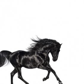 LilNasX——《OldTownRoad》在美国，抖音神曲又一次改变了游戏规则