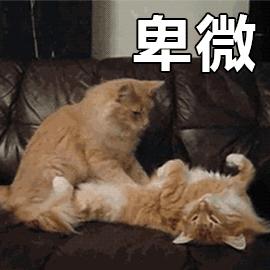 我太有信心了！这个按摩仪一定能让你爽到啊啊啊啊啊啊叫