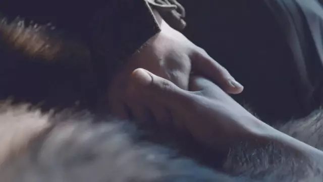 德云社塞外出道，冬奥会夜王夺冠|《权力的游戏》回忆之旅：S07E06