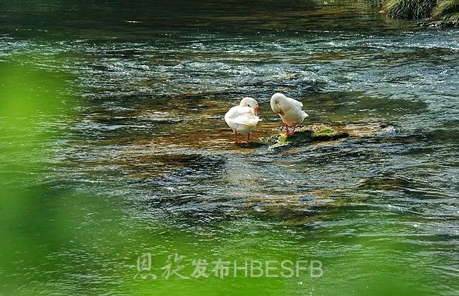 游恩施的攻略有哪些地方可以玩,恩施游玩哪些地方值得去玩