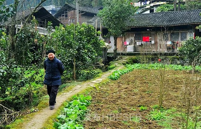 游恩施的攻略有哪些地方可以玩,恩施游玩哪些地方值得去玩