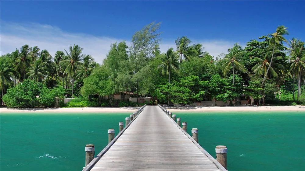 5折入住,抖音推荐的网红酒店