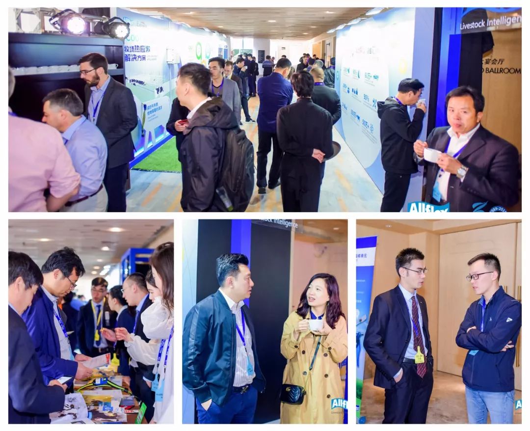 大数据万万没想到,万万没想到深度解析