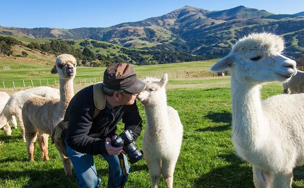 5天拼假10天旅游攻略,拼假16天旅游攻略
