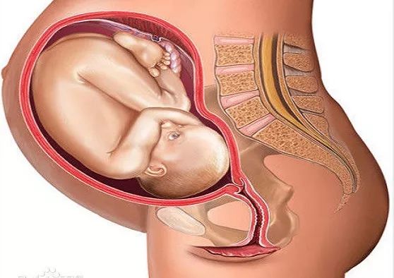 肿瘤防治宣传周科普|“产后”遇上“宫颈癌”——警惕妊娠期宫颈癌