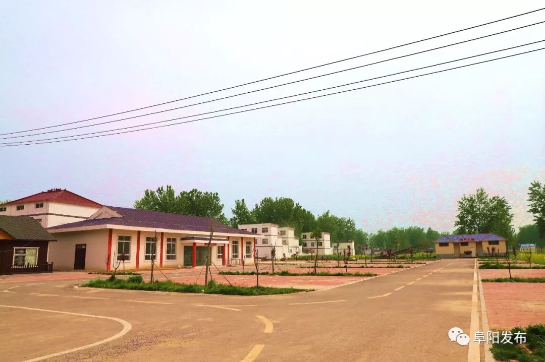 新疆昭苏县千亩芍药盛开,3a景区有哪些村