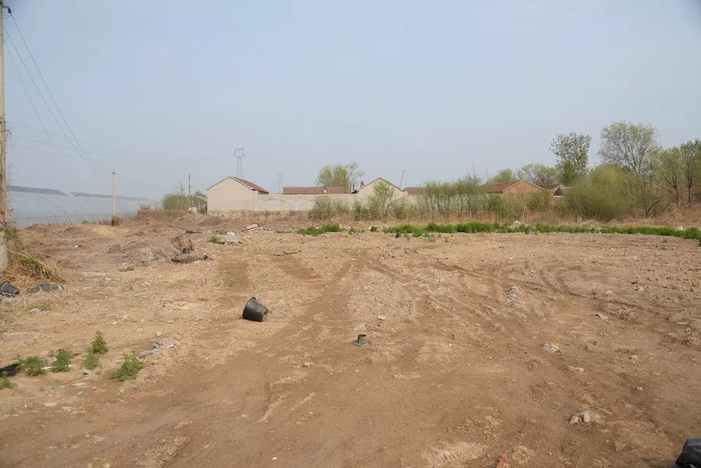 优秀检察建议和回复,检察建议效果评估