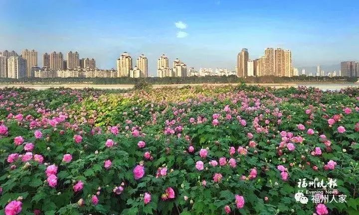 福州地铁4号线美食打卡,福州地铁4号线游玩攻略