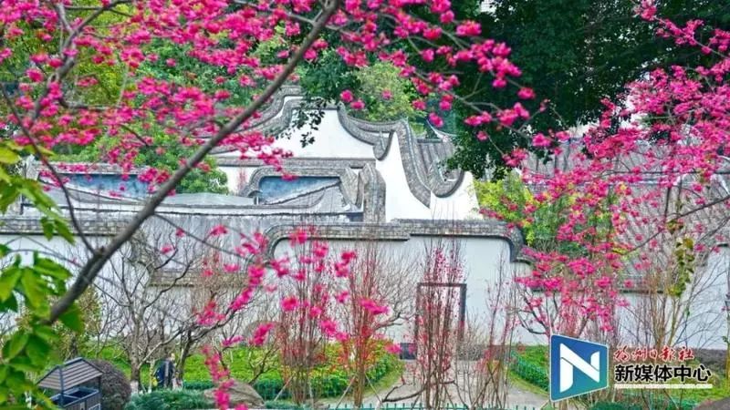 福州地铁4号线美食打卡,福州地铁4号线游玩攻略