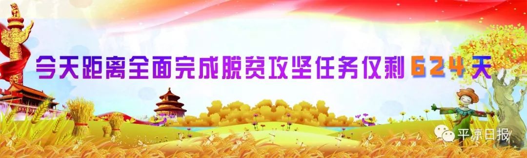 定了！省政府印发《实施方案》这10个方面与您的生活息息相关