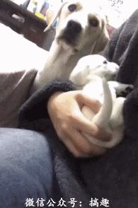 4月18日每天3分钟尽览天下事（郑州一批地铁站名公示，向您征建议/郑阜高铁年底通车，郑州2小时可达合肥）